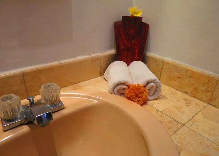 Ladybamboo Bed & Breakfast